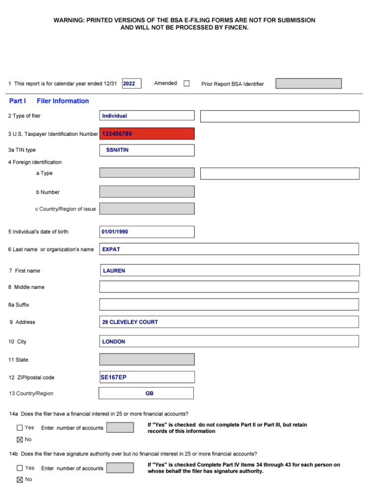 FinCEN Form 114 Everything You Need to Know